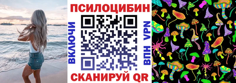 где купить   Усть-Катав  Псилоцибиновые грибы Cubensis 